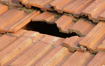 roof repair Totegan, Highland